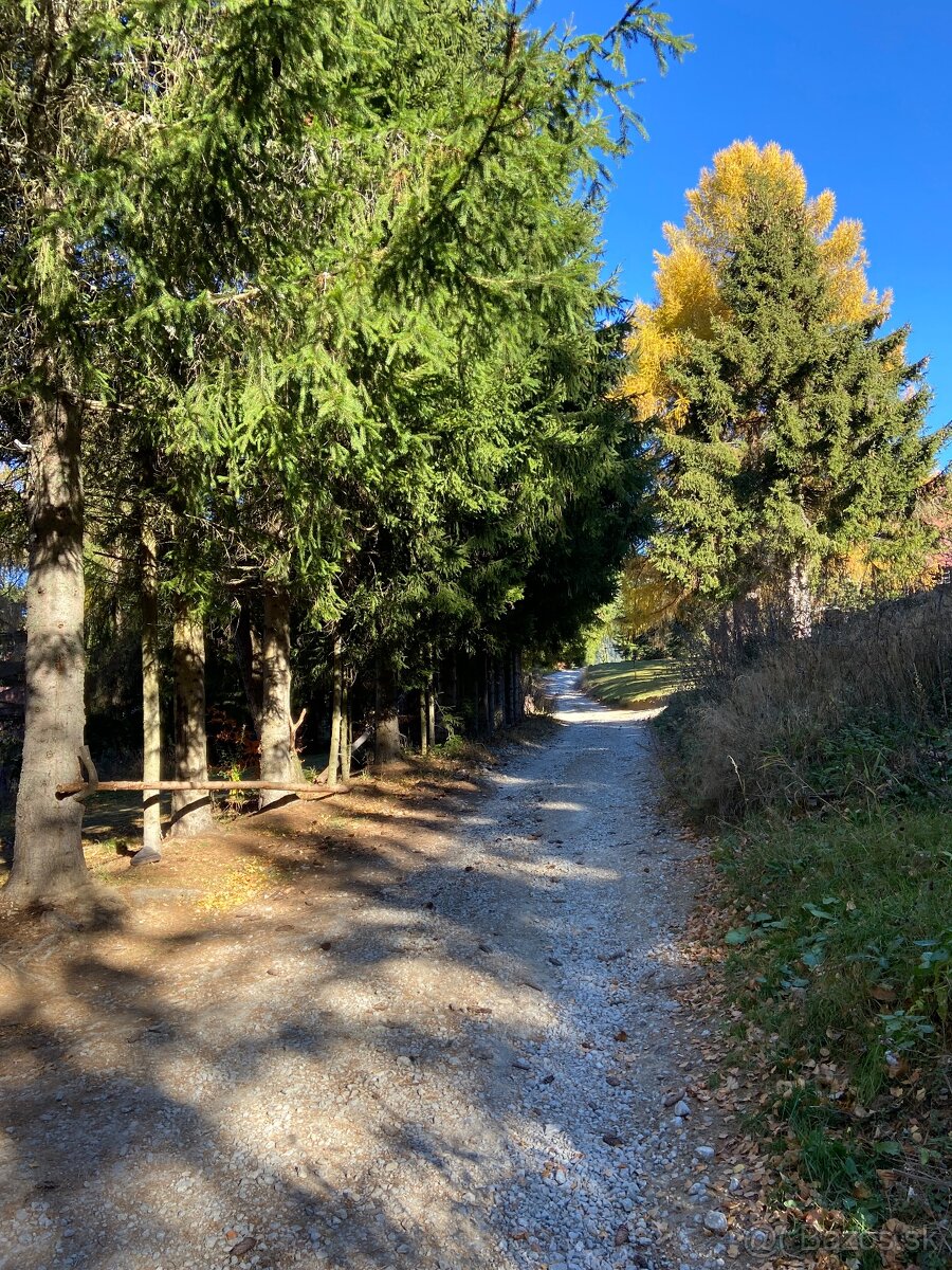 DONOVALY - chata na predaj - 5