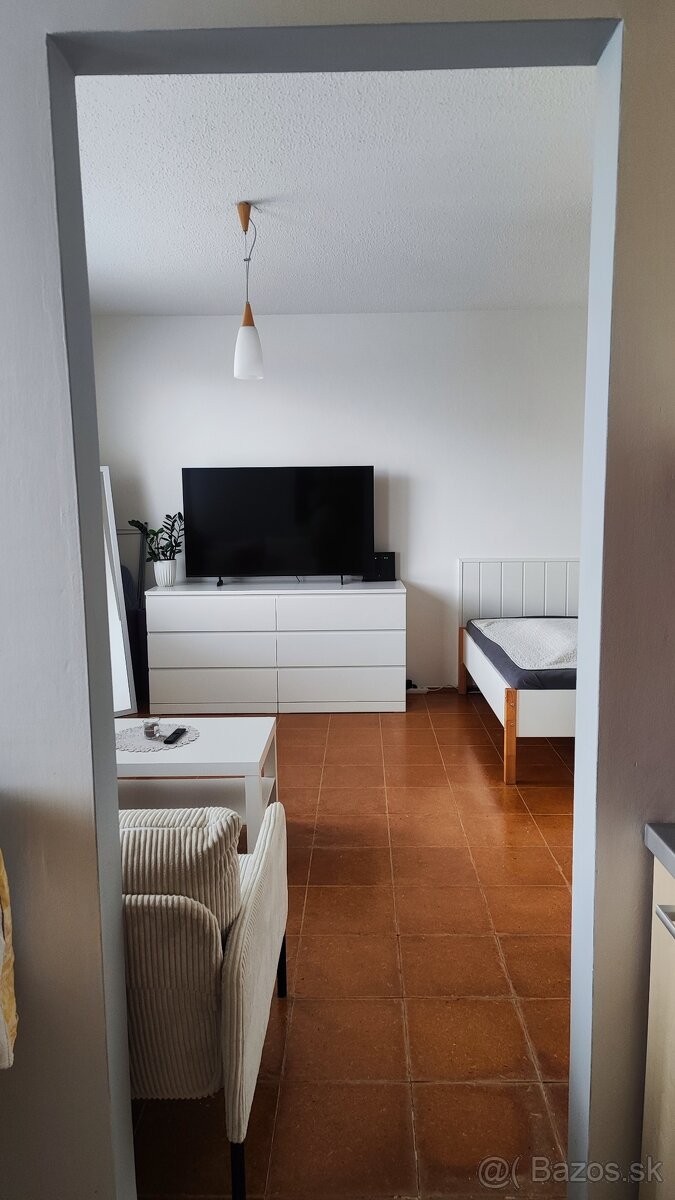 1izbový byt na prenájom - 5