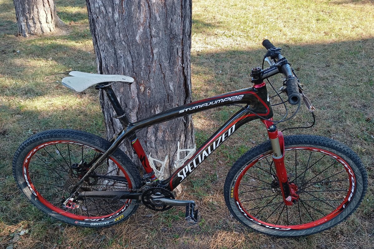 SPECIALIZED stumpjumper expert carbon 26" L - 5
