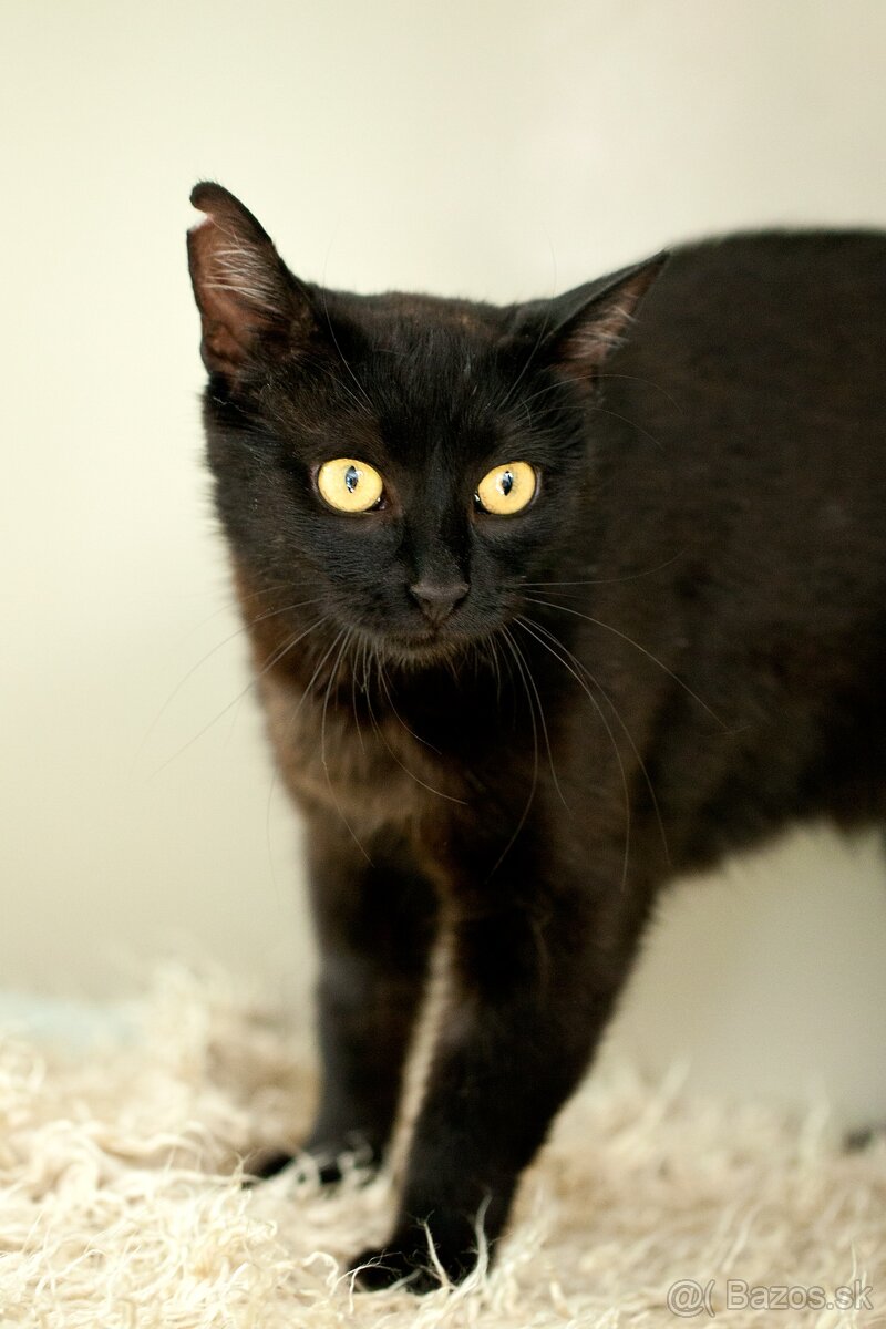 ❤ Moryana - dôverčivá, dobrá a pokojná - 5