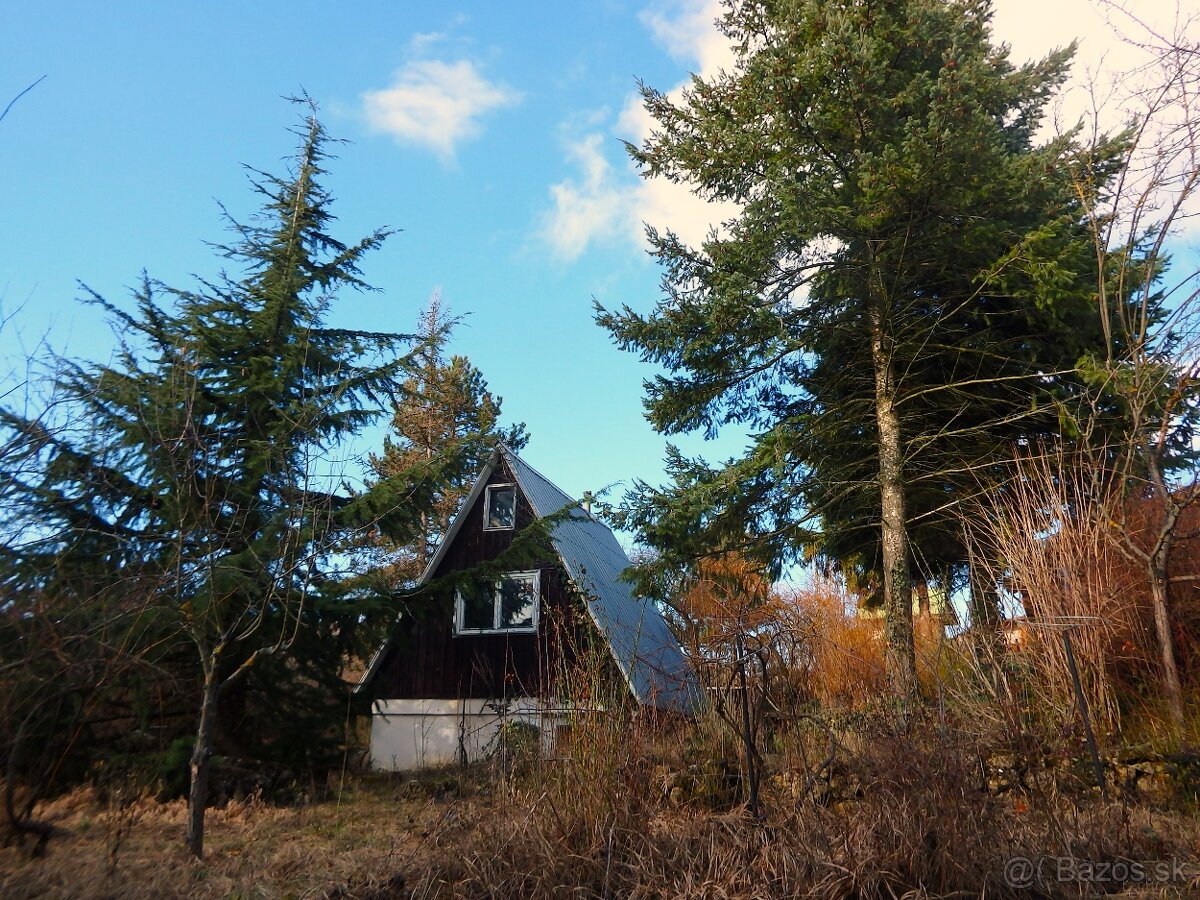 Záhrada nad Dubčekovou ulicou NMnV - 5