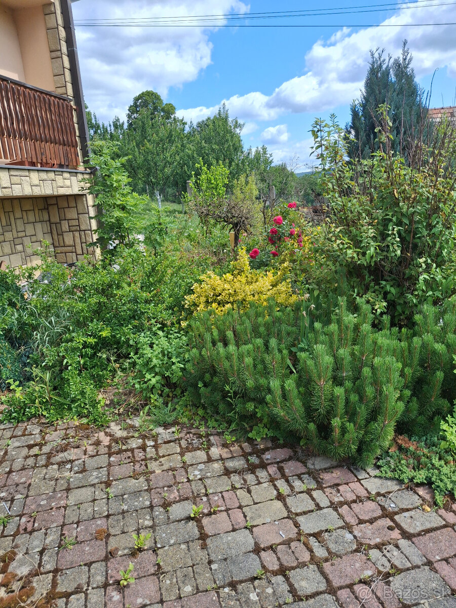 Predaj rodinný dom Sadočné - 5