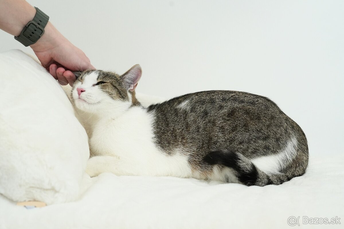 MRKVIČKA hľadá domov - 5