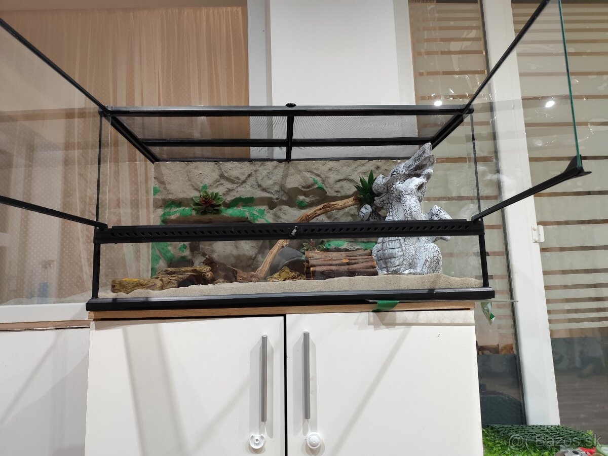 Agama bradatá s terariom Exo terra - 5