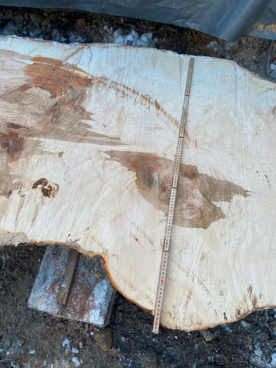 Rezivo Buk Dub Jelša Javor. - 5