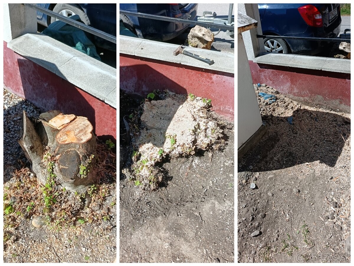 Frézovanie pňov a výrub - 5