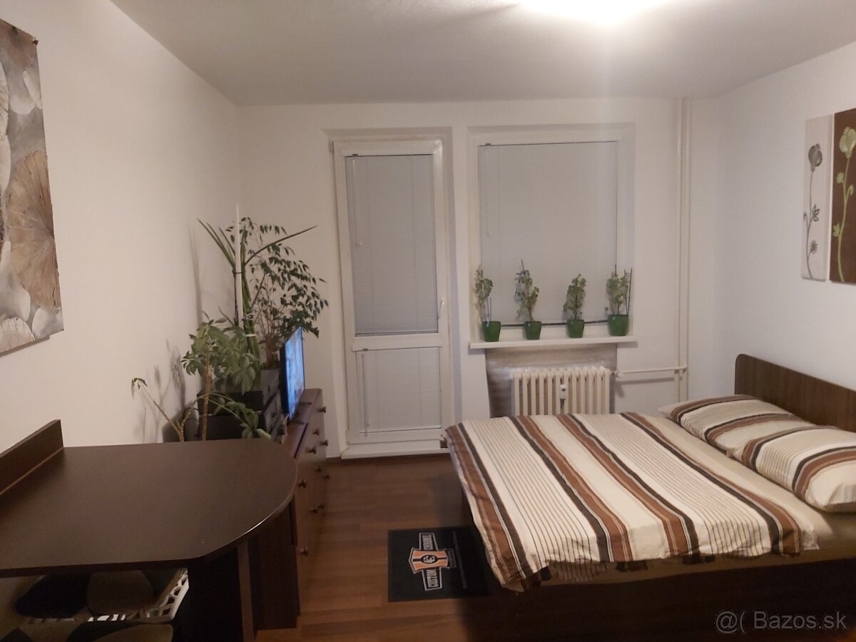 1-izbový byt, garzonka,garsonka, - 5