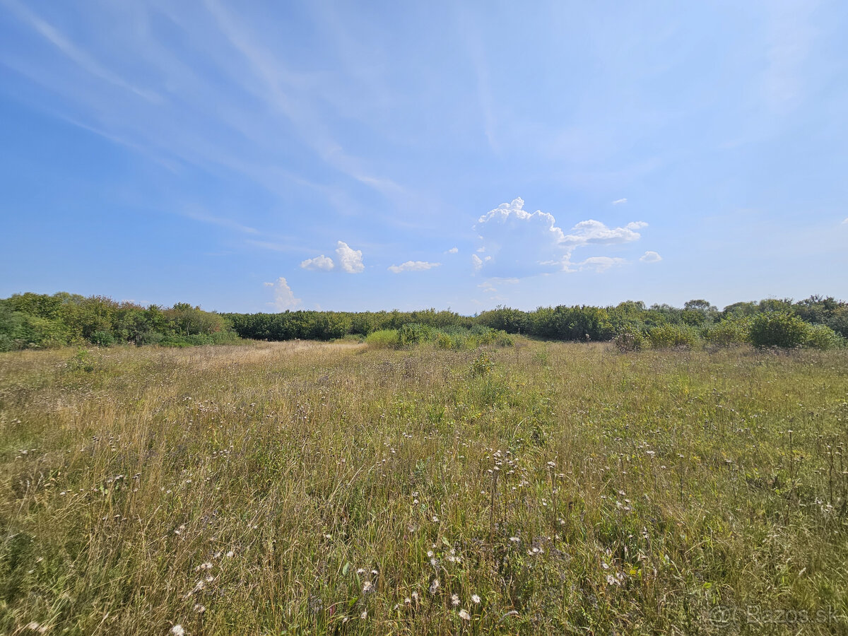 EXKLUZÍVNA PONUKA: PRIESTRANNÝ POZEMOK PRI SVLOVENSKEJ VSI - 5