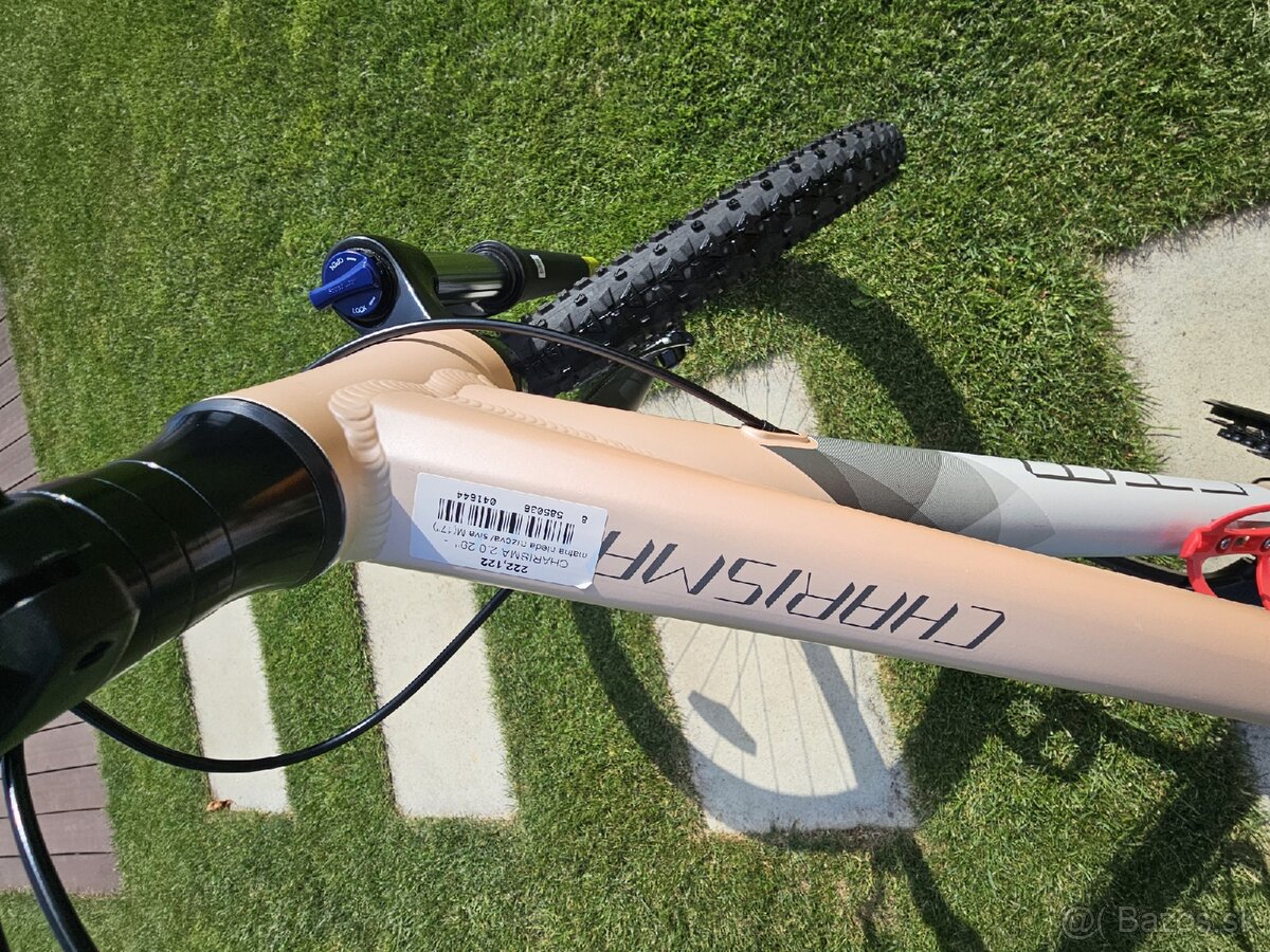 CTM Charisma 2.0 2022 29″ matná bledá ružová/sivá - 5