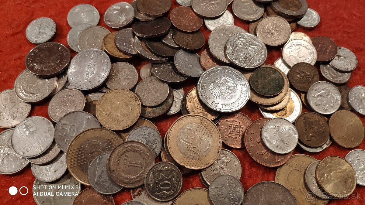 Mince2 - 5