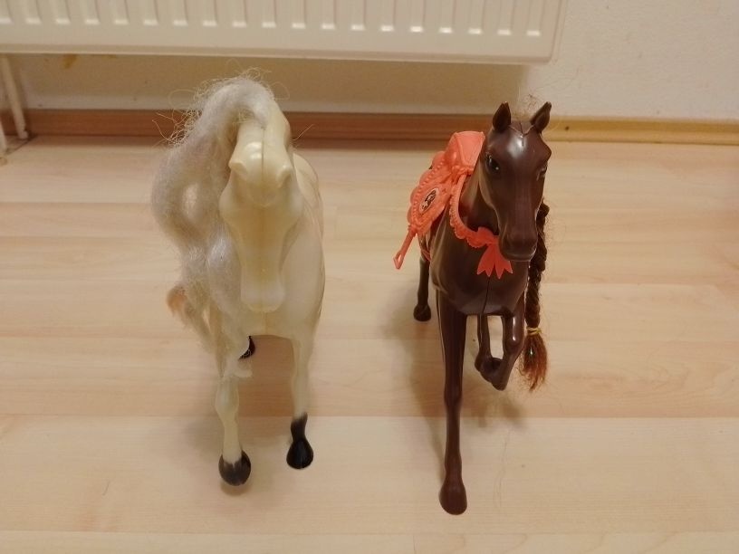 Koníky a poníky - 5