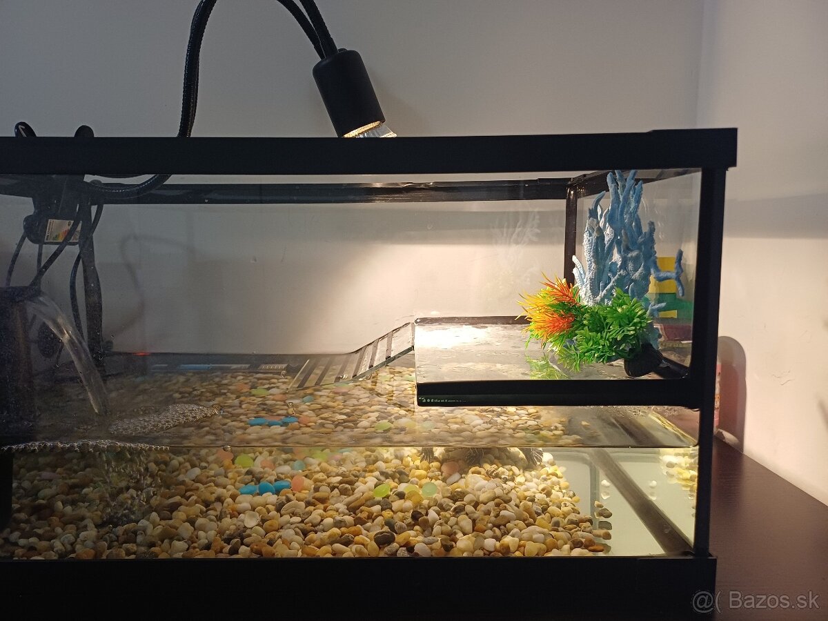 Akvarium s prislusenstvom - 5