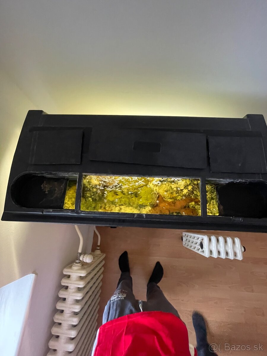 Cichlidy africké+akvarium - 5