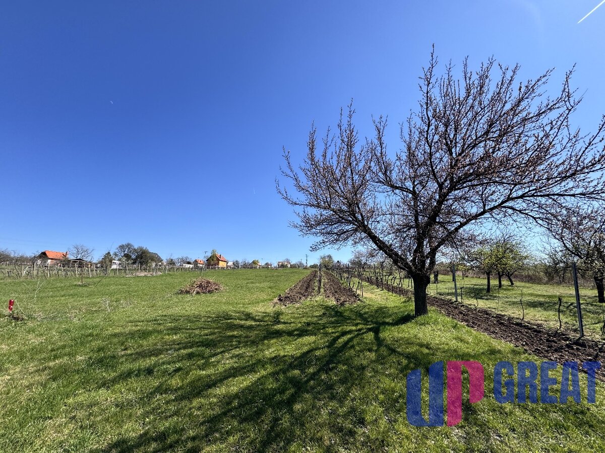 Pozemok s nádherným výhľadom na Skalicu–vinohrad so sklepom - 5