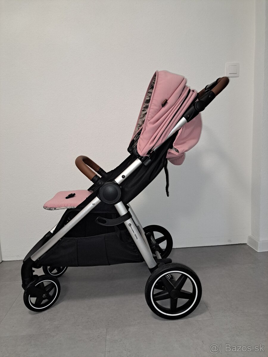 Kočík Pettite and Mars - 5