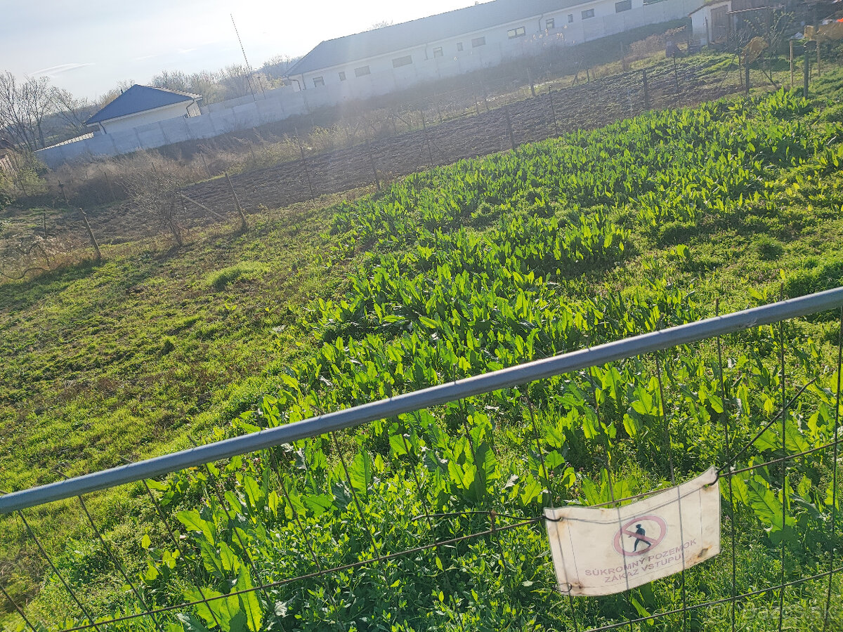 Tomasikovo pozemok 630m2 - 5