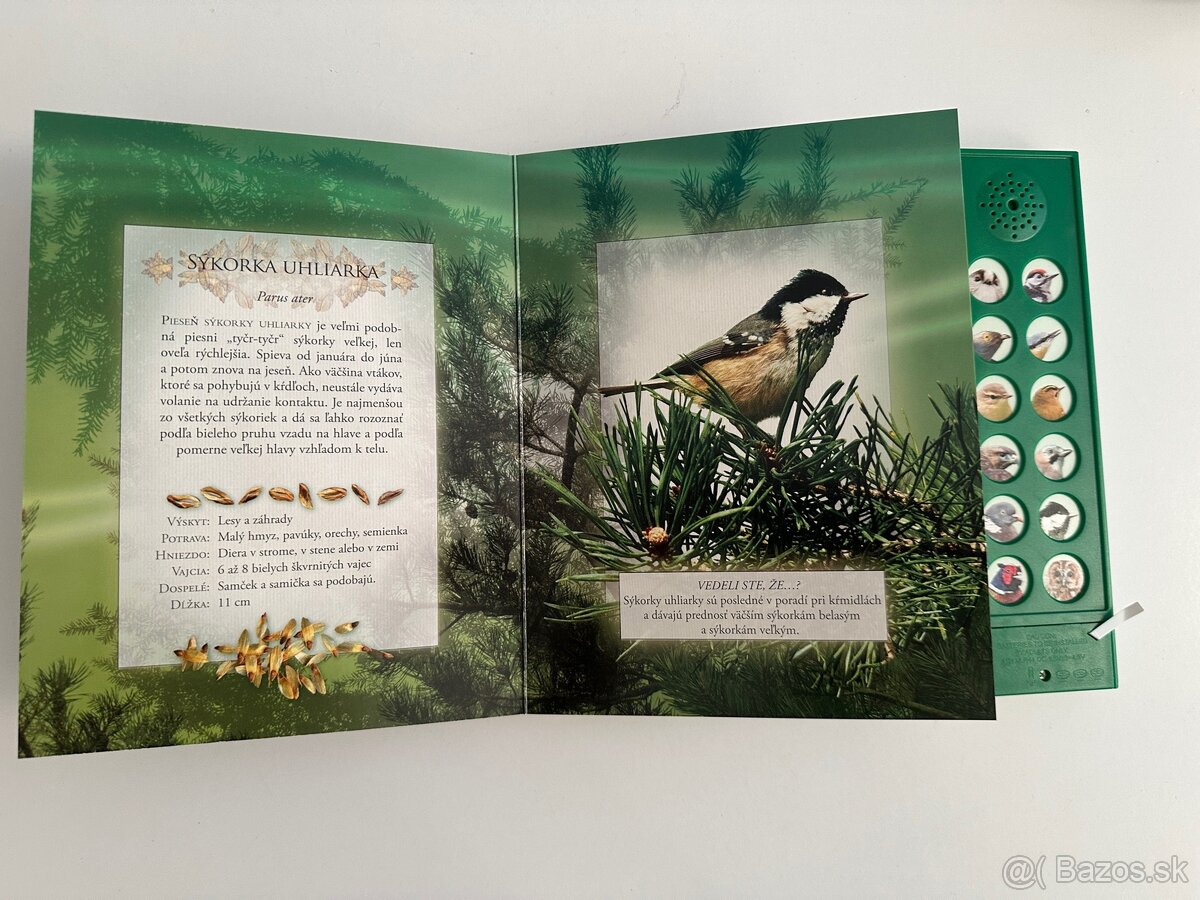 Zvukové knihy Vtáky voľnej prírody - 5