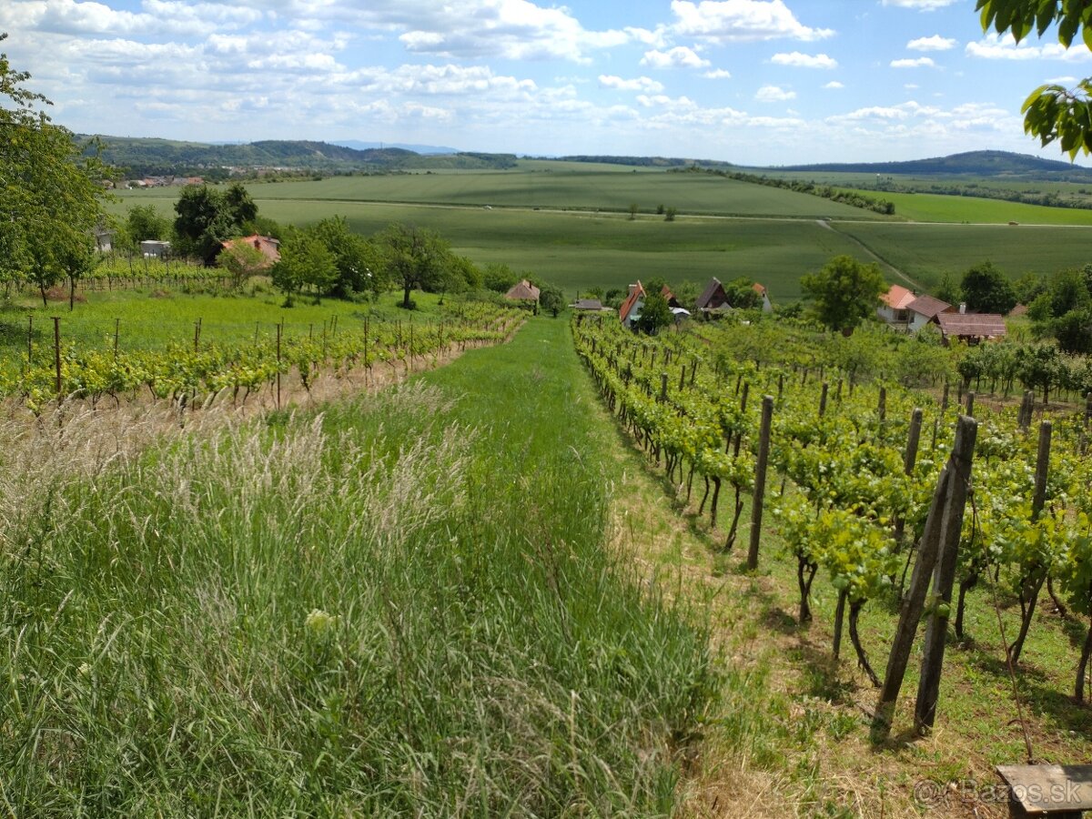 Rekreačný pozemok - 5