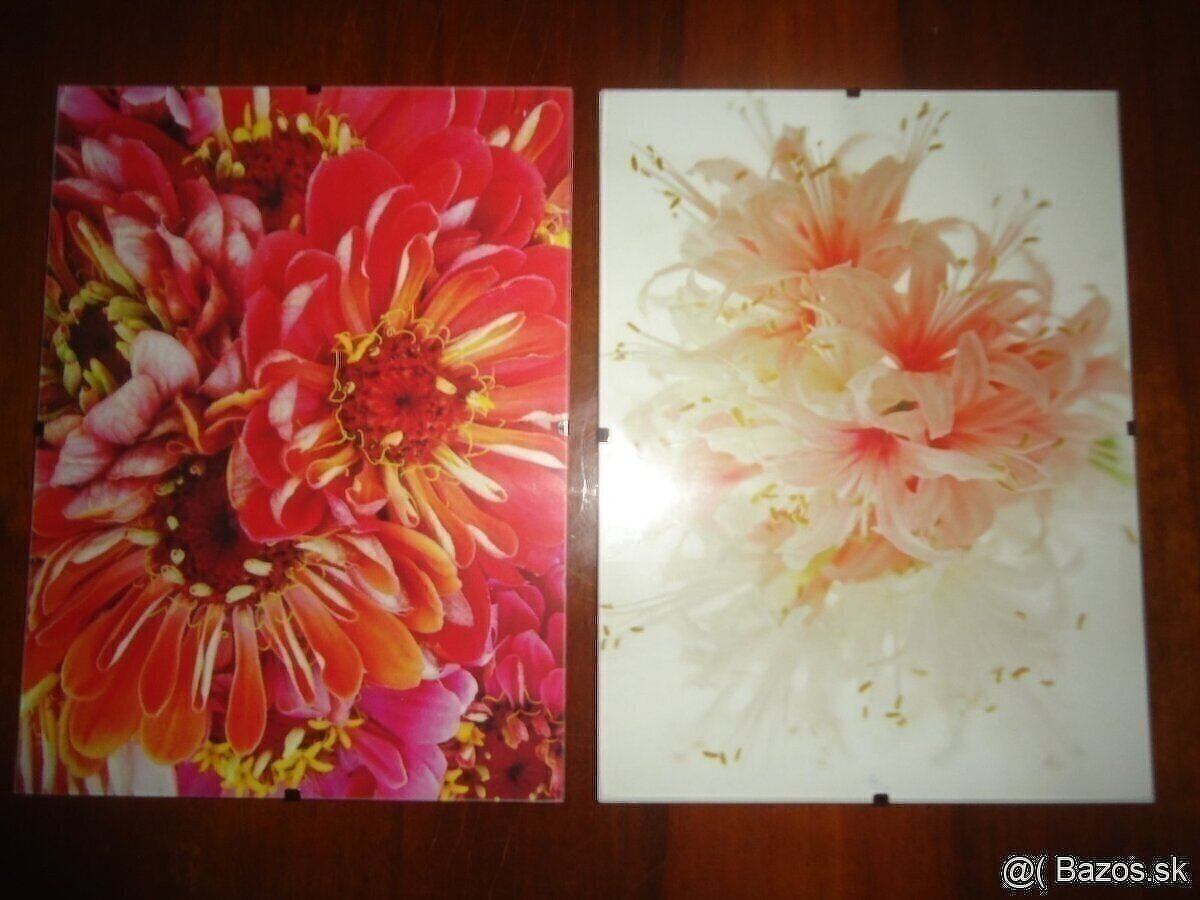 Retro obrazy, vešiak vintage - 5