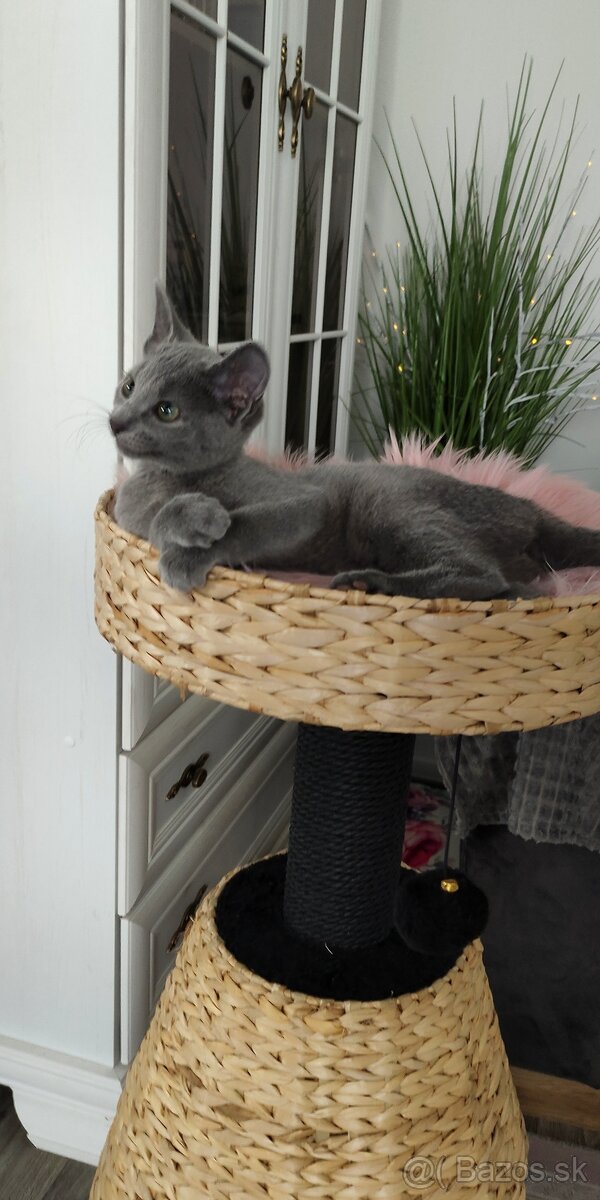 Skrabadlo pre mačky - 5