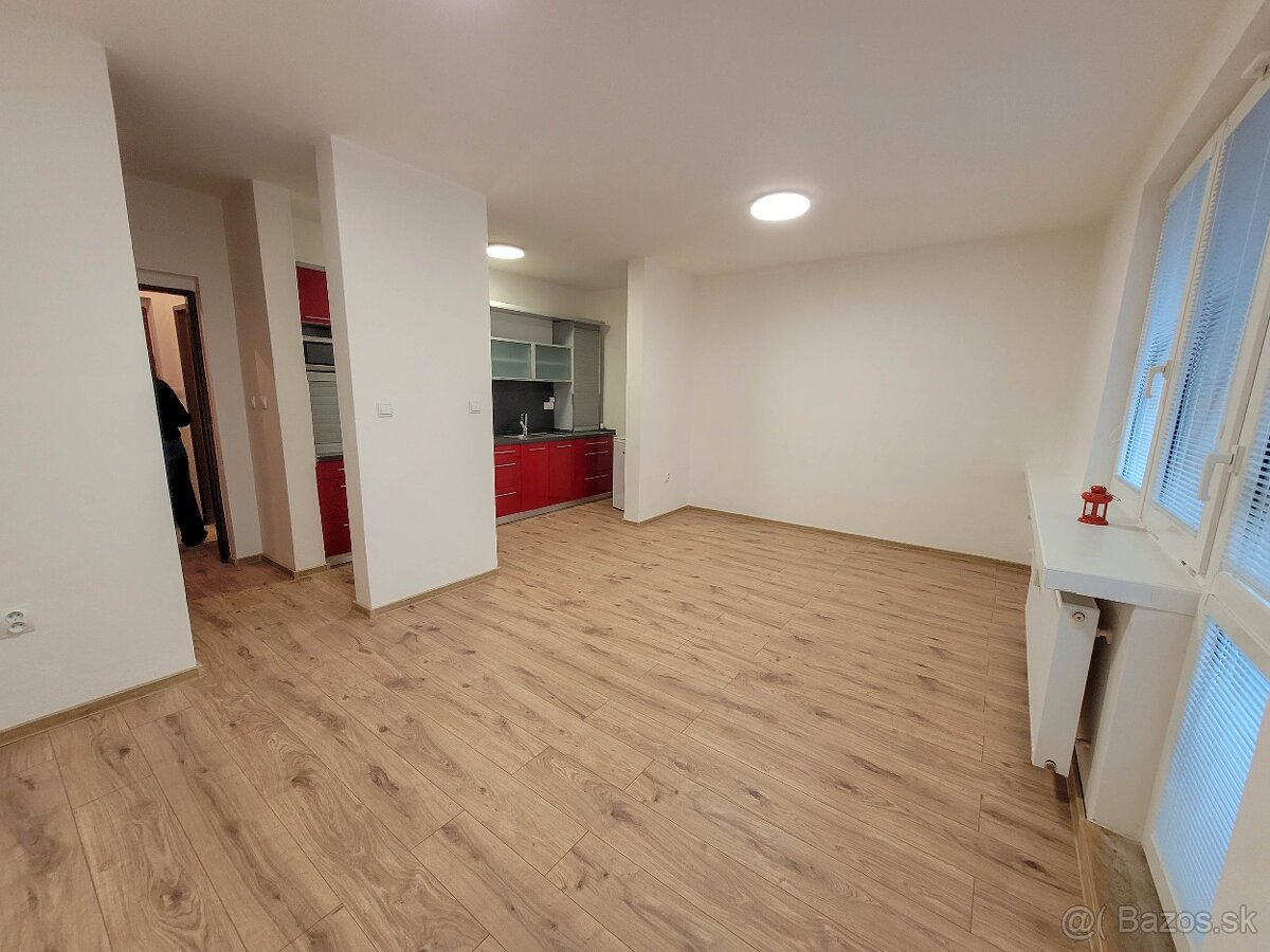 Prenájom 1 - izb byt Kanianka prerobený - 5