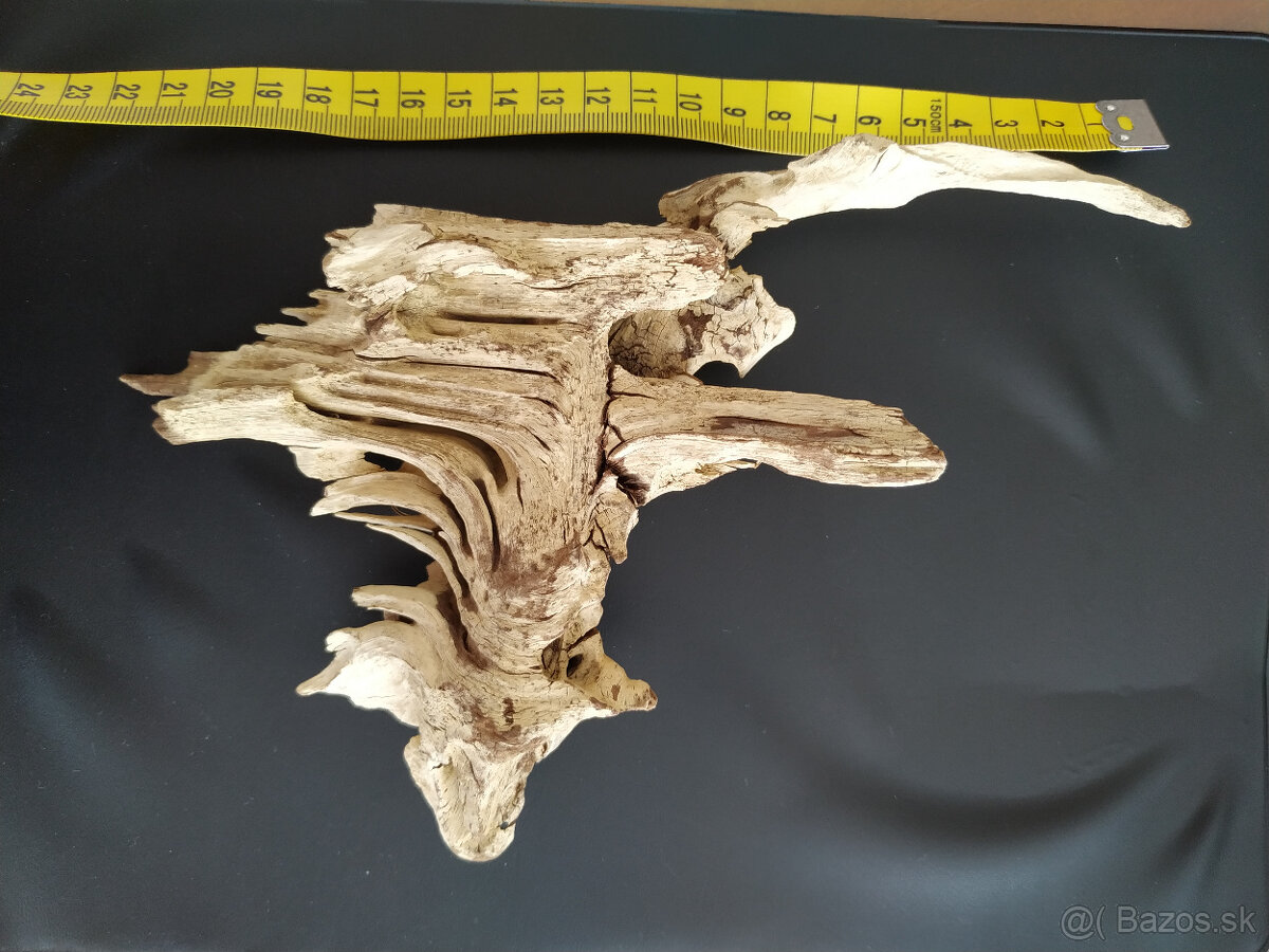 Samorast / Paroh - 5