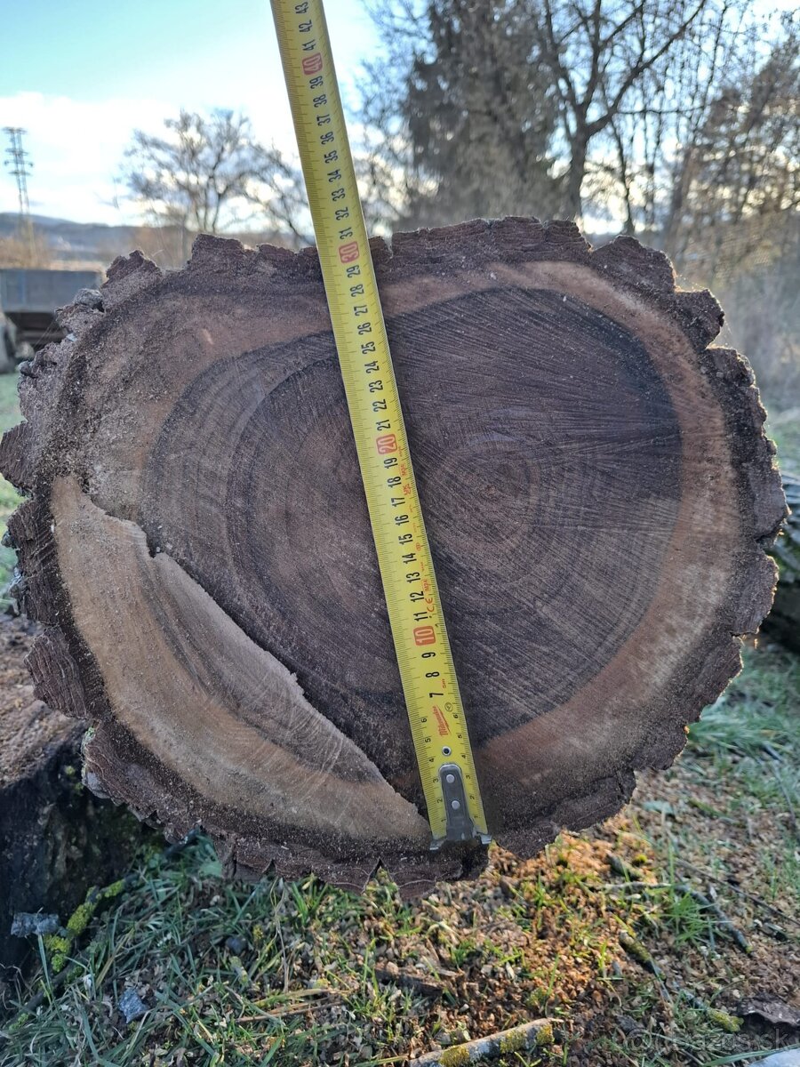 Predám orechové drevo - 5