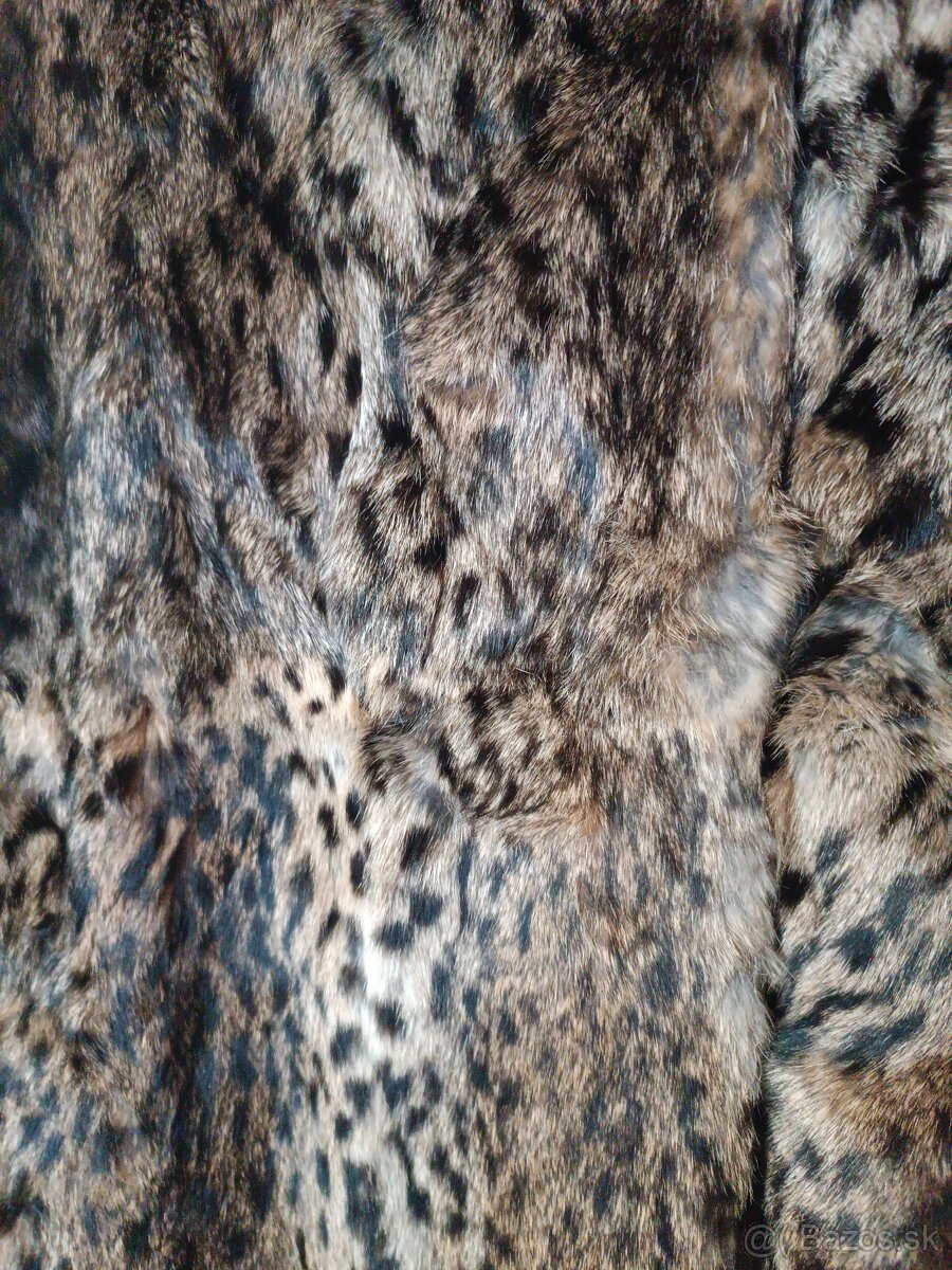 Pravý kozuch Rys ostrovid - 5