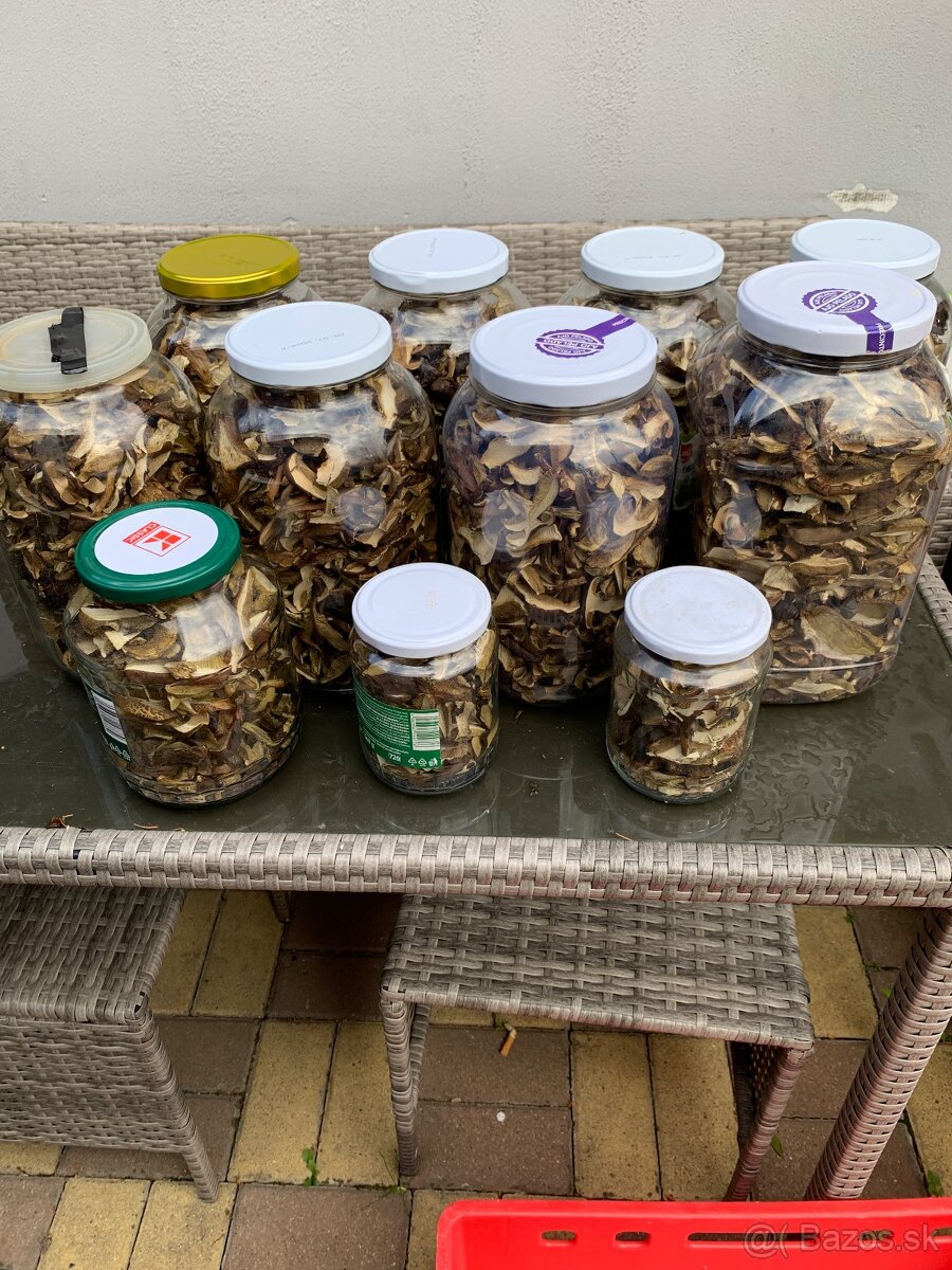 Predam susene hriby - 5