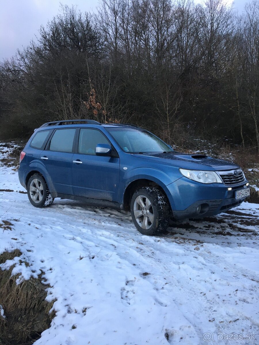Subaru forester - 5