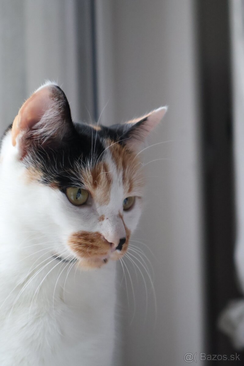 Len do dobrých rúk - 5