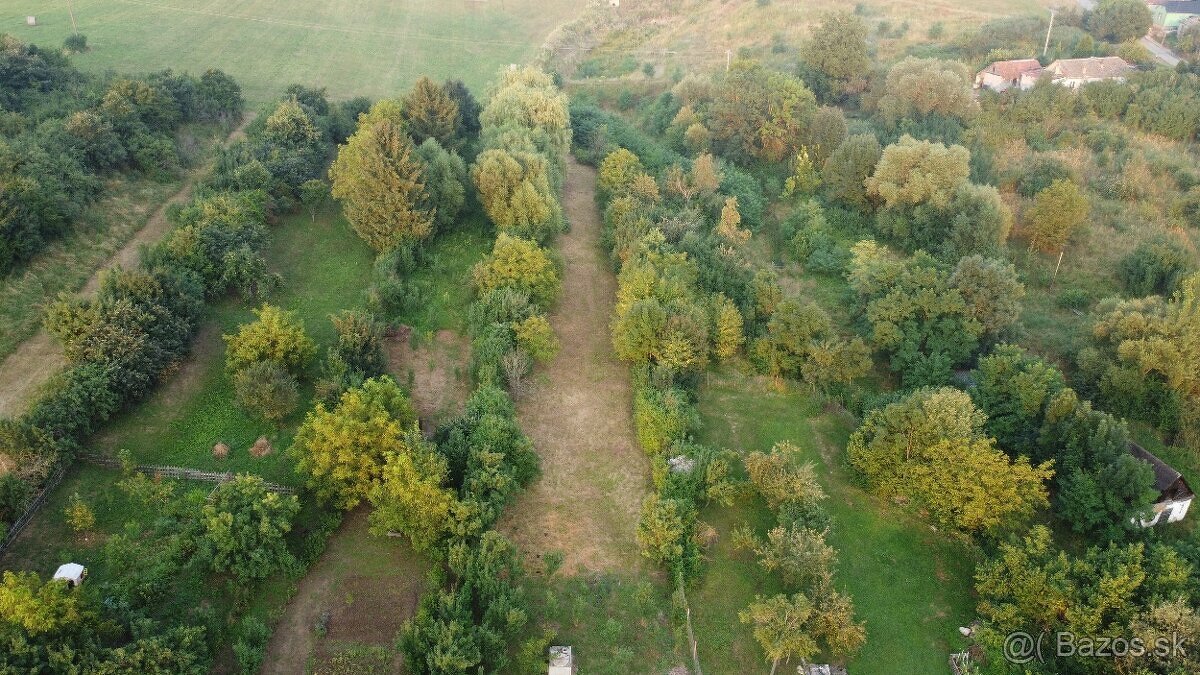 PREDAJ POZEMKU - OVOCNÉHO SADU/Pozemok,záhrada,Predam vymení - 5