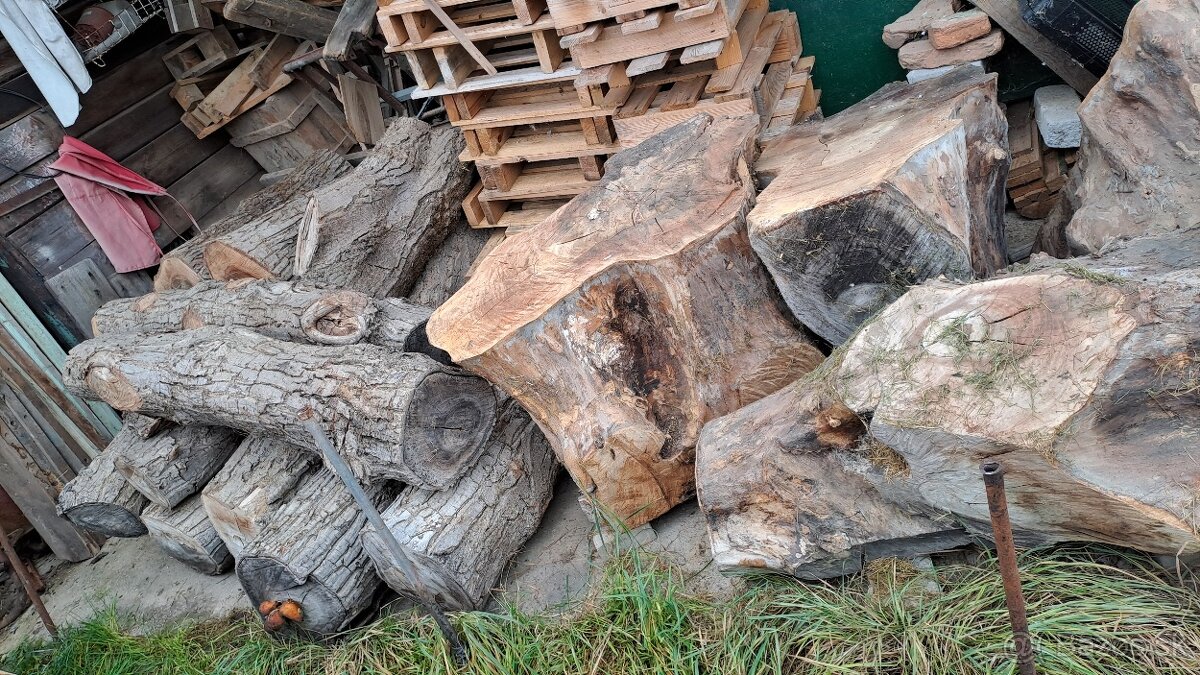 Predam orechove drevo - 5