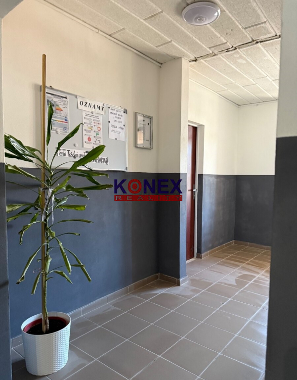 NA PREDAJ – 3-izbový byt ČIERNA NAD TISOU - 5