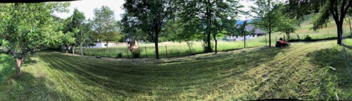 Predaj pozemku Mestečko okr.Púchov - 5