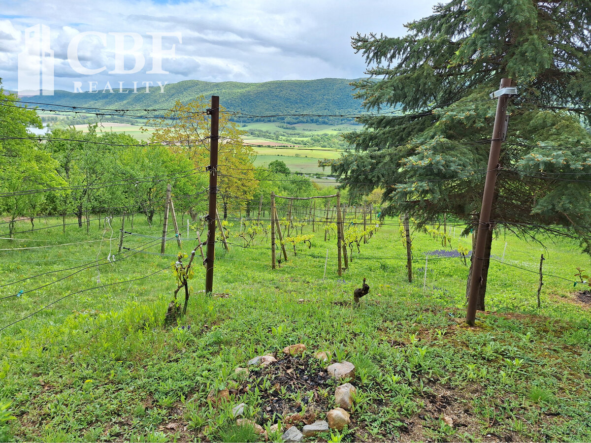 22.000 ZÁHRADKÁRSKA CHATKA S VINIČOM NA PREDAJ V HRHOVE - 5