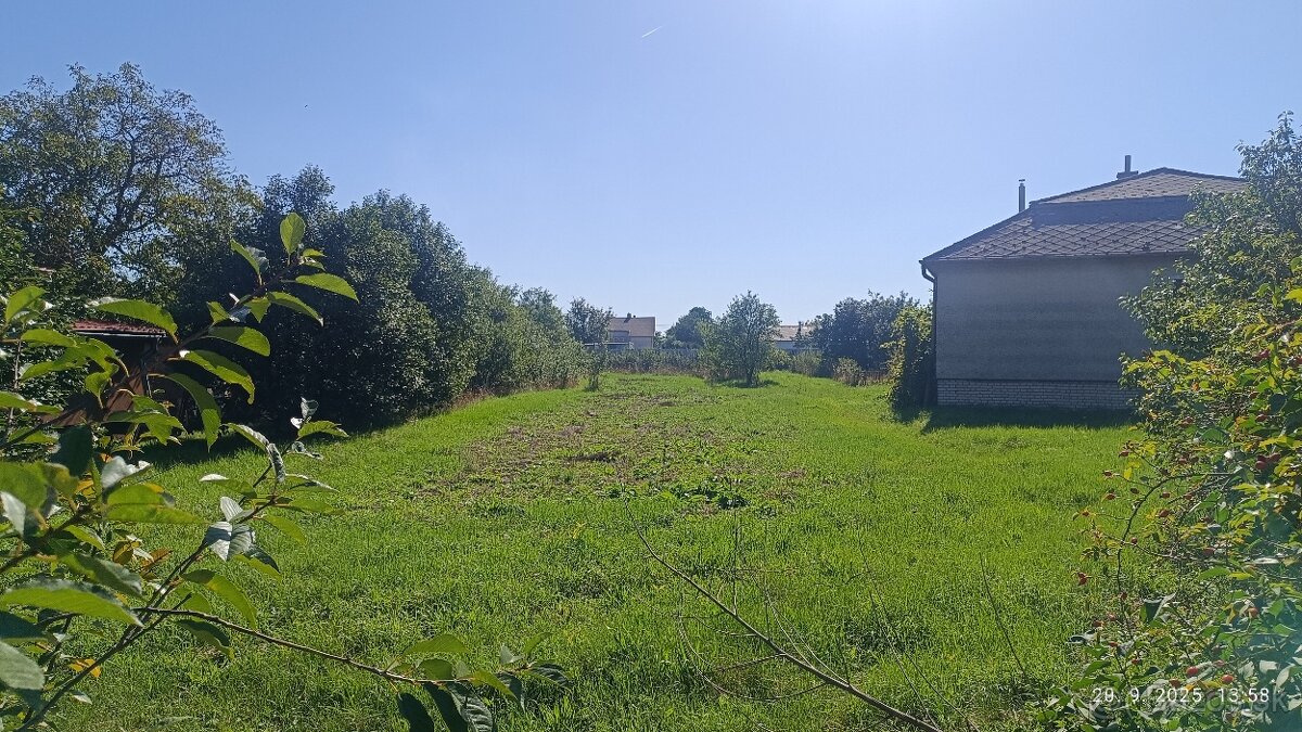 Pozemok v obci Albínov, Sečovce - 5