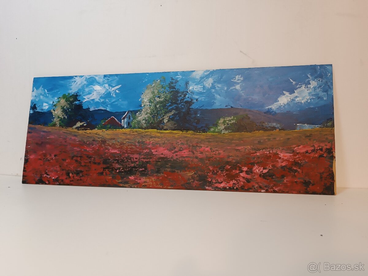 Akrylové obrazy 50x30 3 - 5