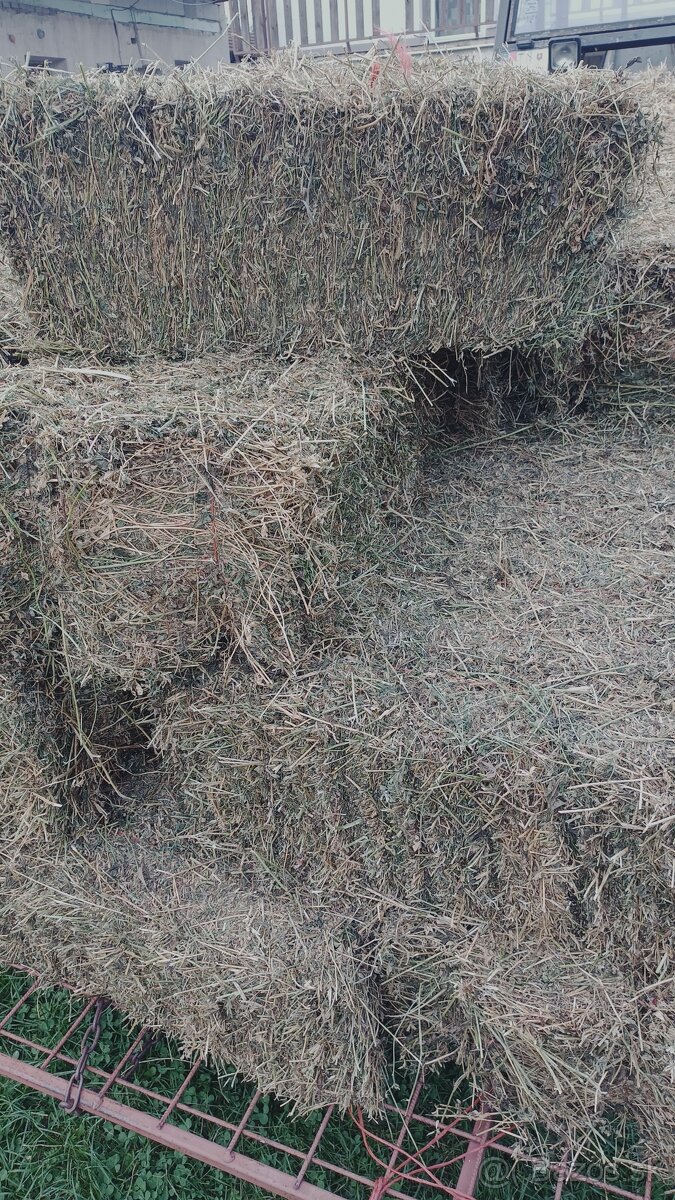 Predám malé balíky slamy a sena - 5