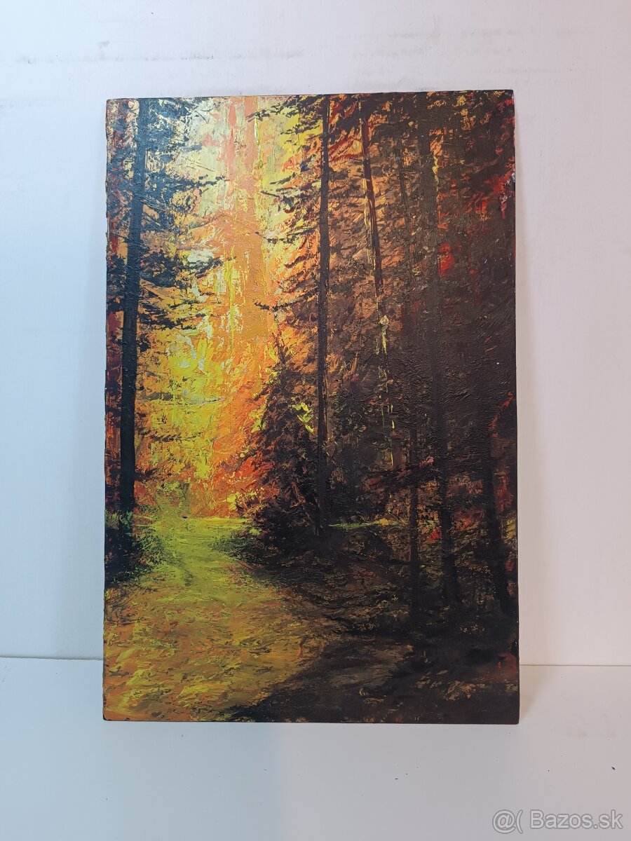 Akrylové obrazy 50x30 4 - 5