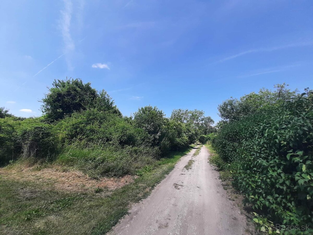 Predaj pozemok v Leviciach, rekreačná lokalita - 5