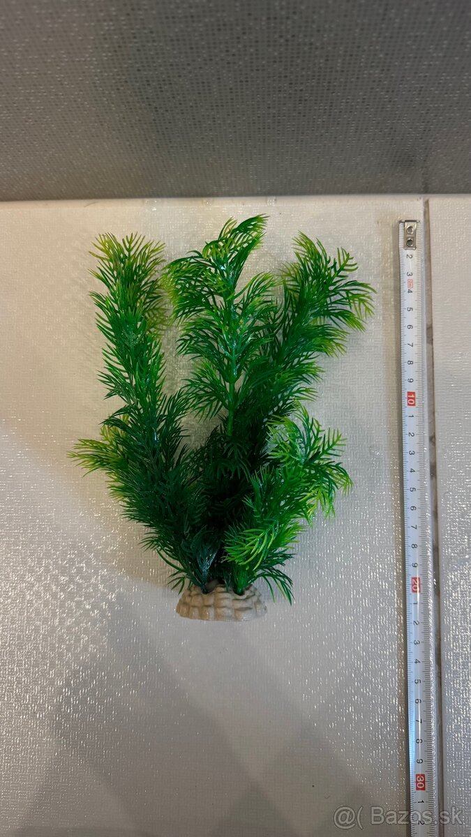 Rastlinky do akvária - 5