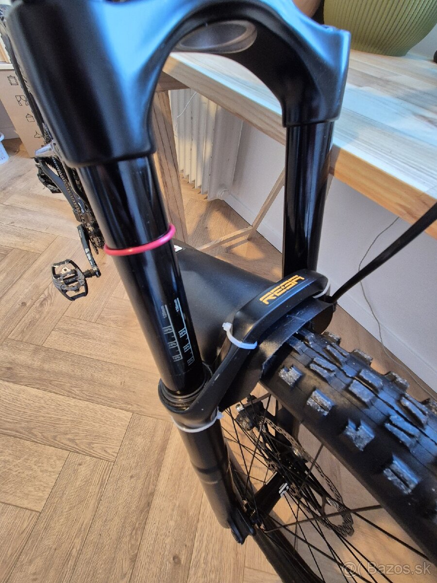 FOCUS jam 6.9 2019 - 5