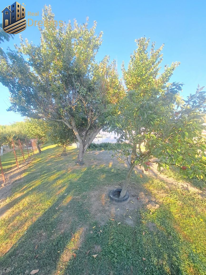 Rodinný dom s veľkým pozemkom v Kolárove – ideálny na bývani - 5