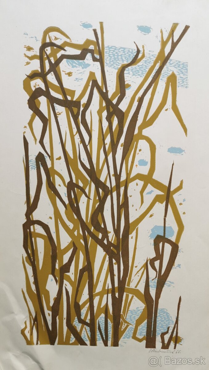 Edita Ambrušová - 5