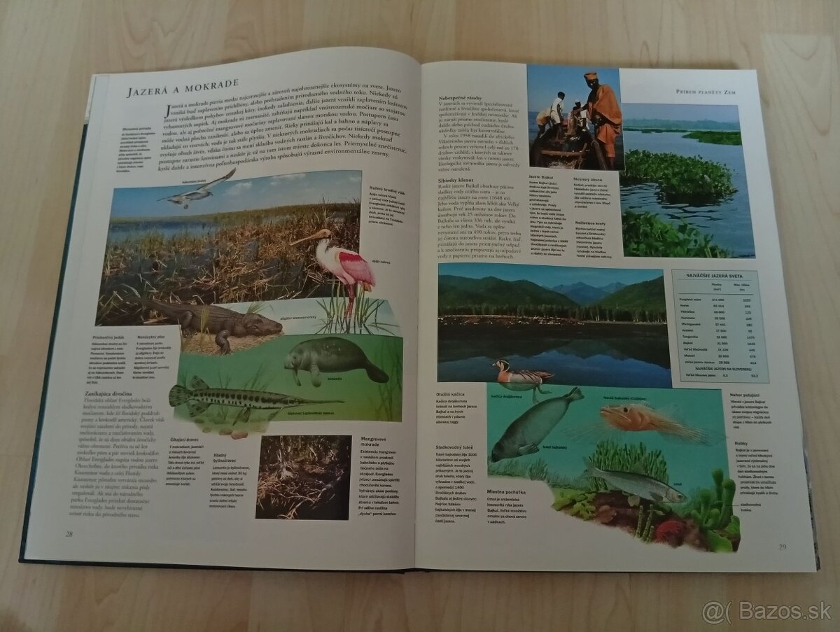 Rôzne knihy 3 - hlavne pre školákov - 5