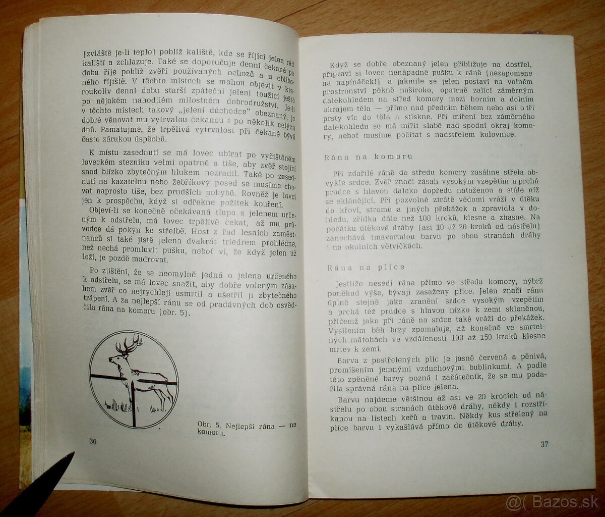 Lovecké praktikum - 5