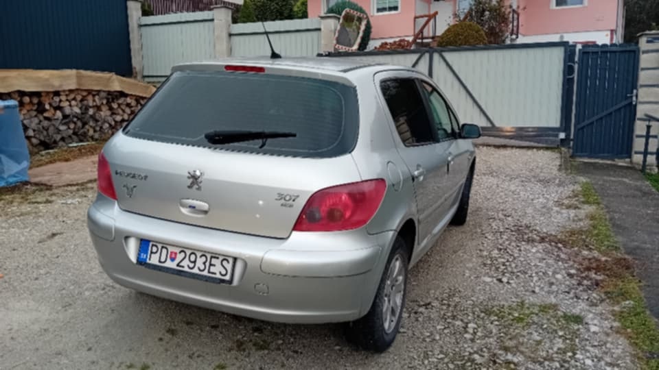 Peugeot 307 - 5