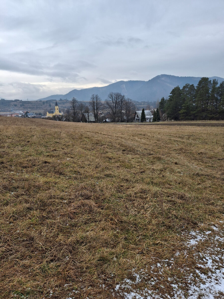 Predaj orná pôda Rajecká Lesná - 5