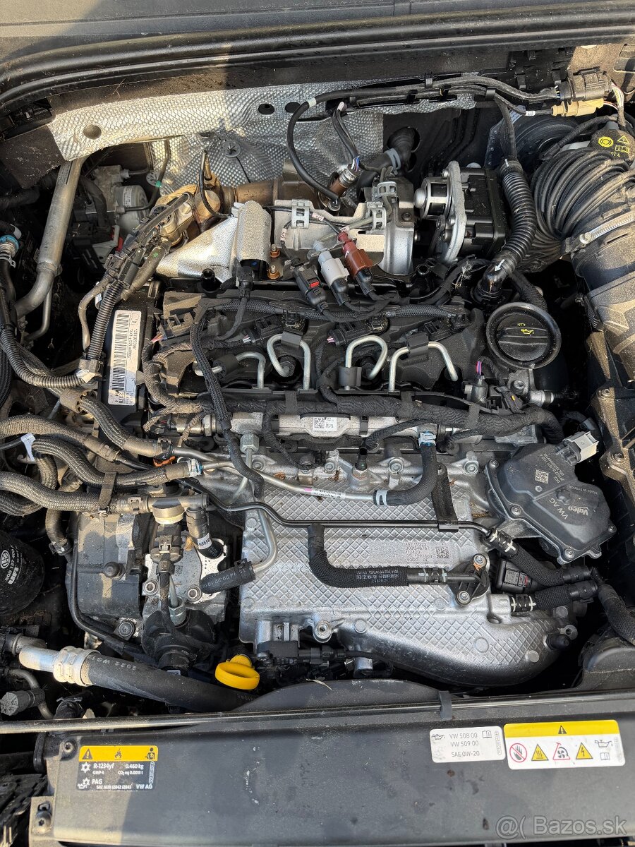 Golf 8 - 5